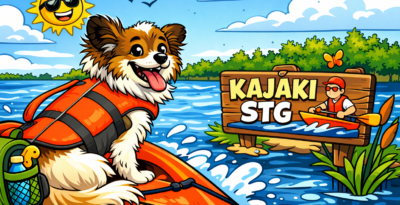 🐕Czy mogę przyjechać ze zwierzęciem na kajaki? Spływ kajakowy z psem krok po kroku🛶